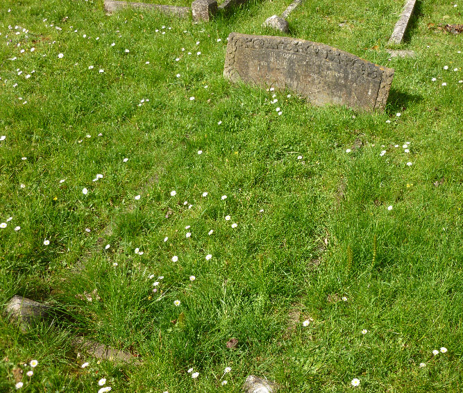 Alfred Ernest Burton